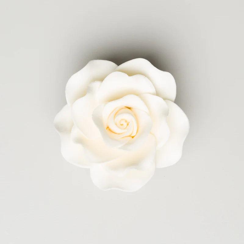 2.5" Queen Elizabeth Rose - Ivory*