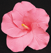 Gum Paste Flowers Large Pink Hibiscus*