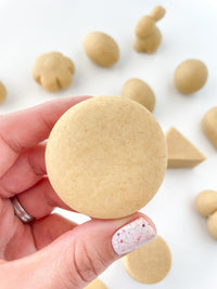 Cake Pop Disc Mold - Sweet Life Cake Supply