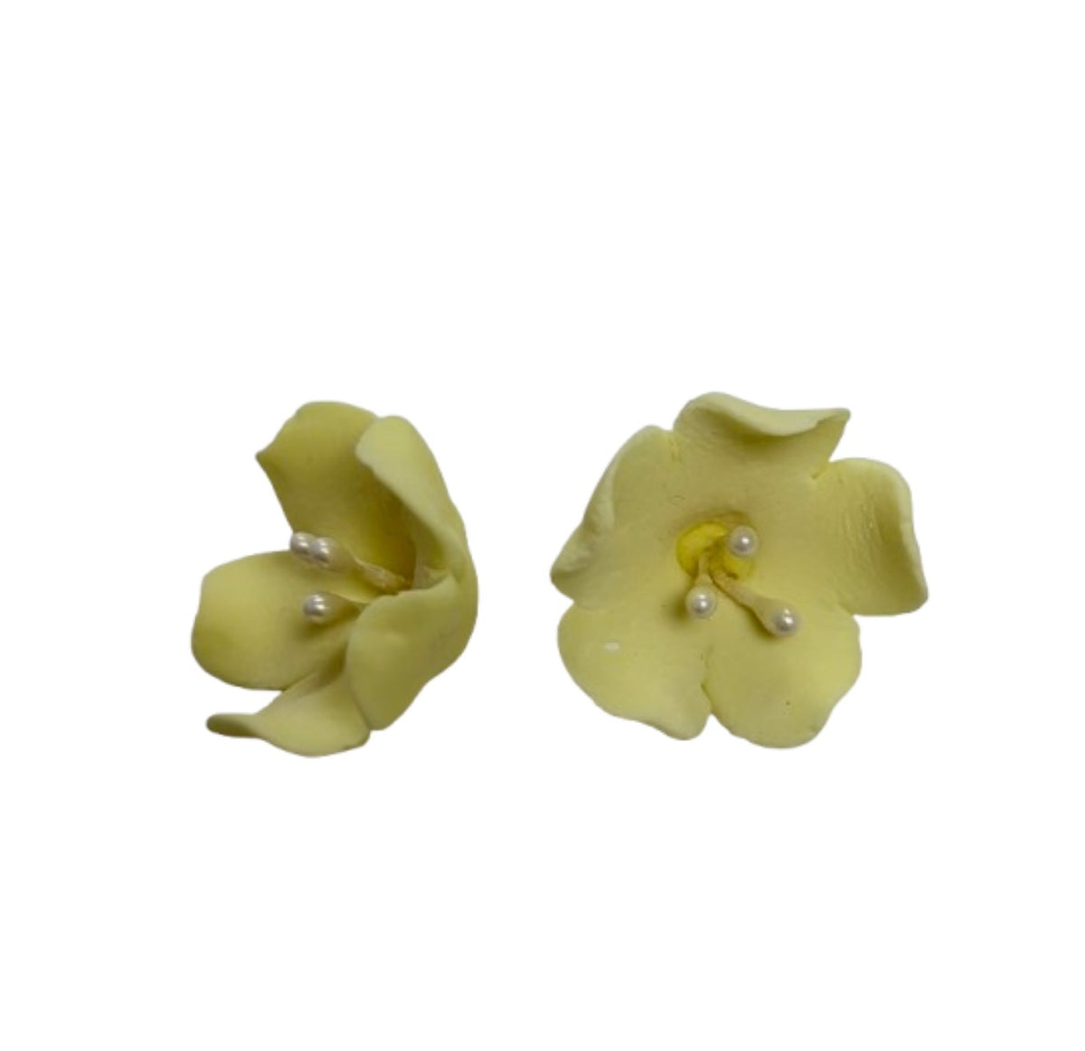 Fruit Blossom Single - Yellow*