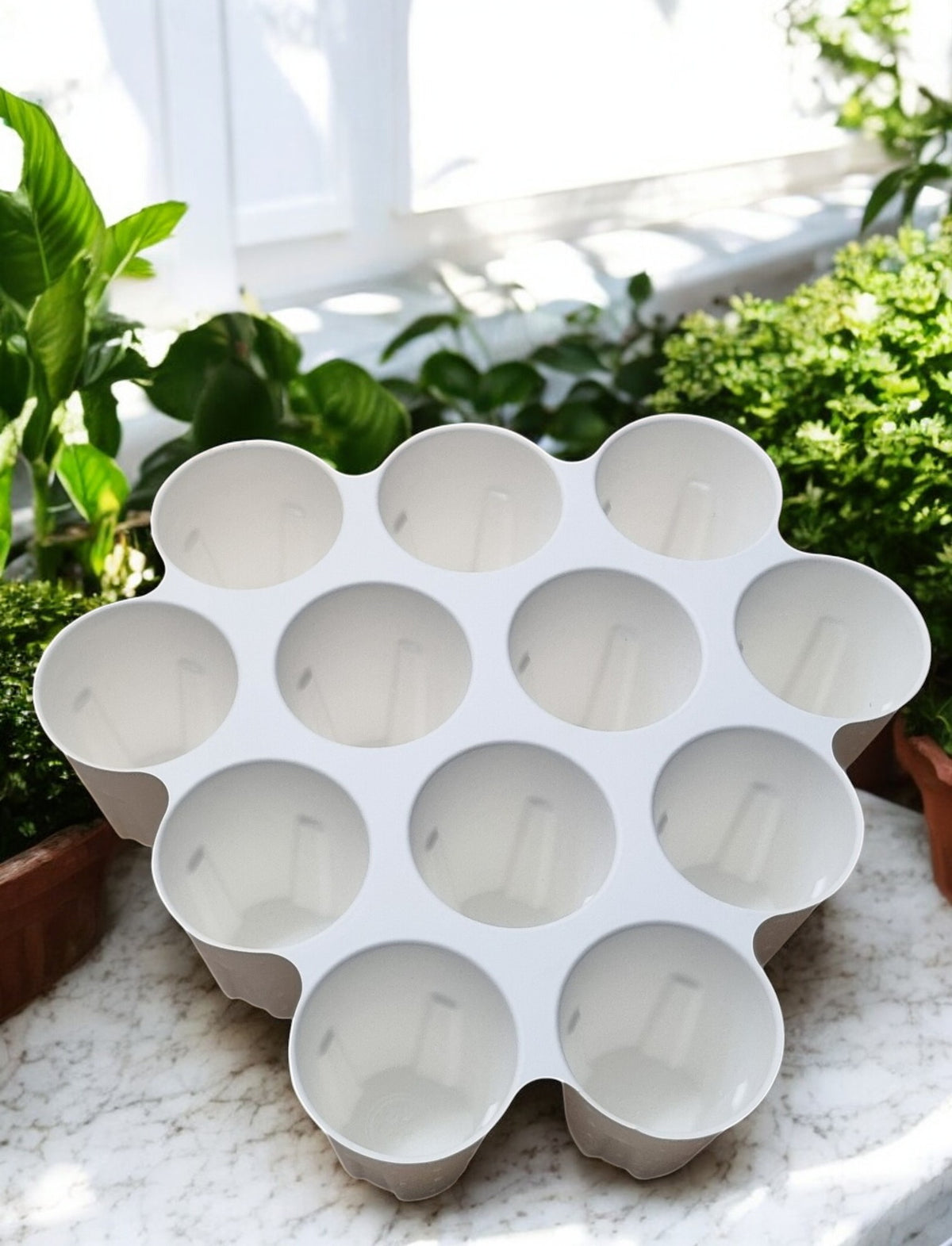 12pax CupQuet Pro Cupcake Boquet Holder