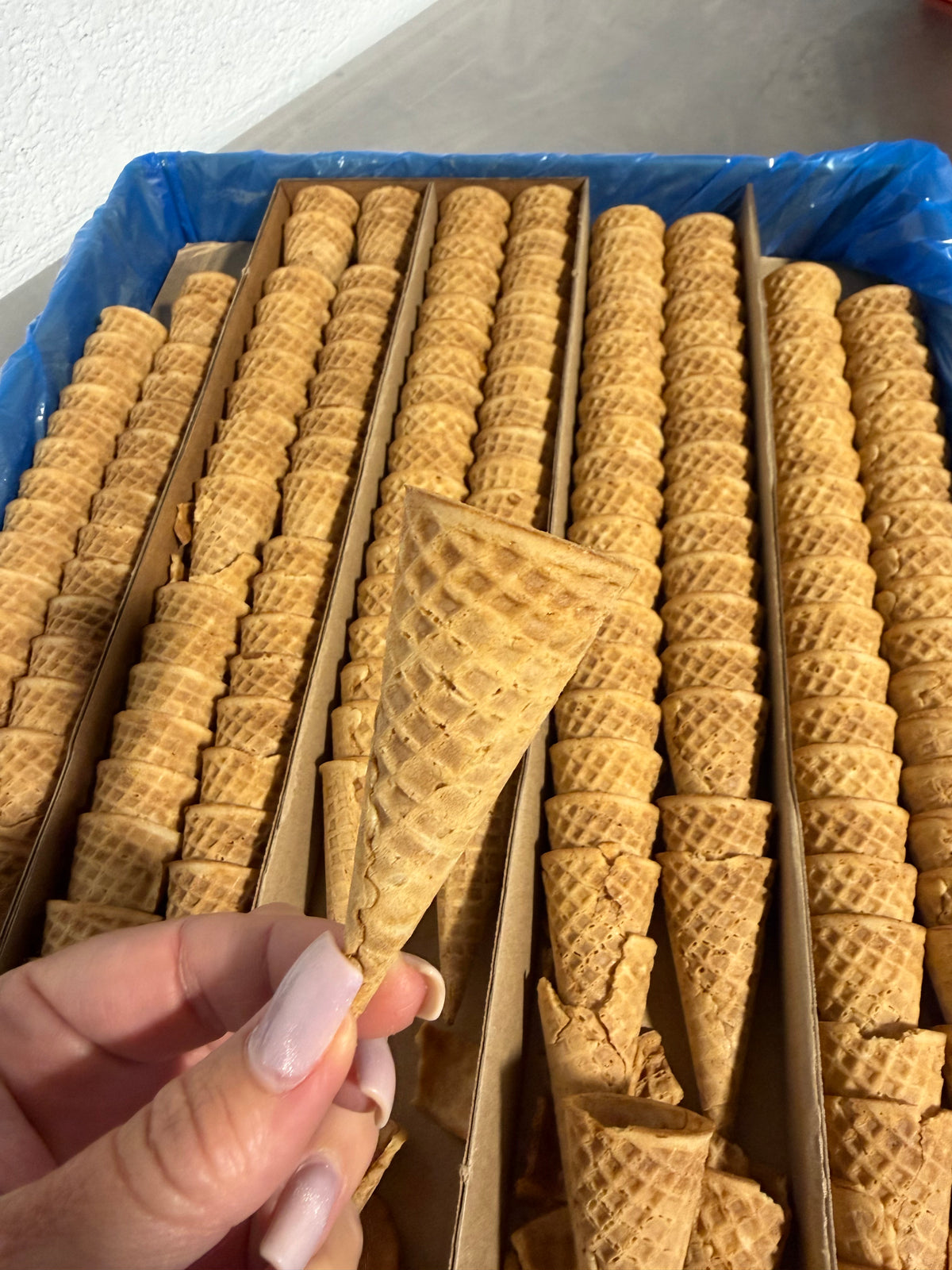 JOY Mini Waffle Cones 24 Pack