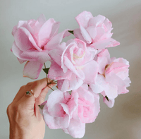 More Curl Wafer Paper Curling Moisturizer 75ml - Sweet Life Cake Supply