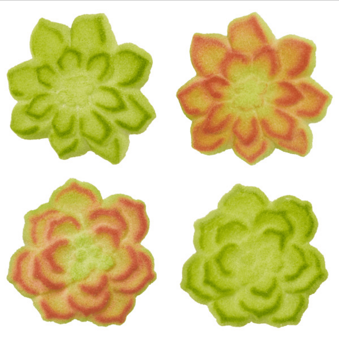 Dec On Succulent Dec On 6 PCS - Sweet Life Cake Supply