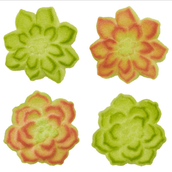 Dec On Succulent Dec On 6 PCS - Sweet Life Cake Supply