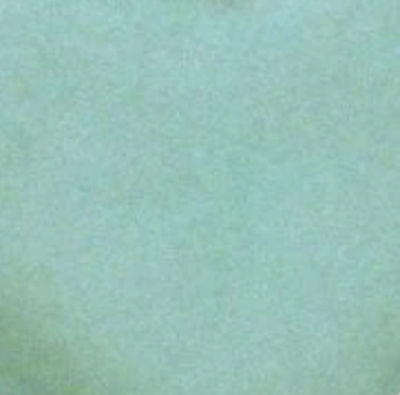 Eucalyptus Luster Dust - Sweet Life Cake Supply