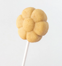 Cake Pop Flower Mold