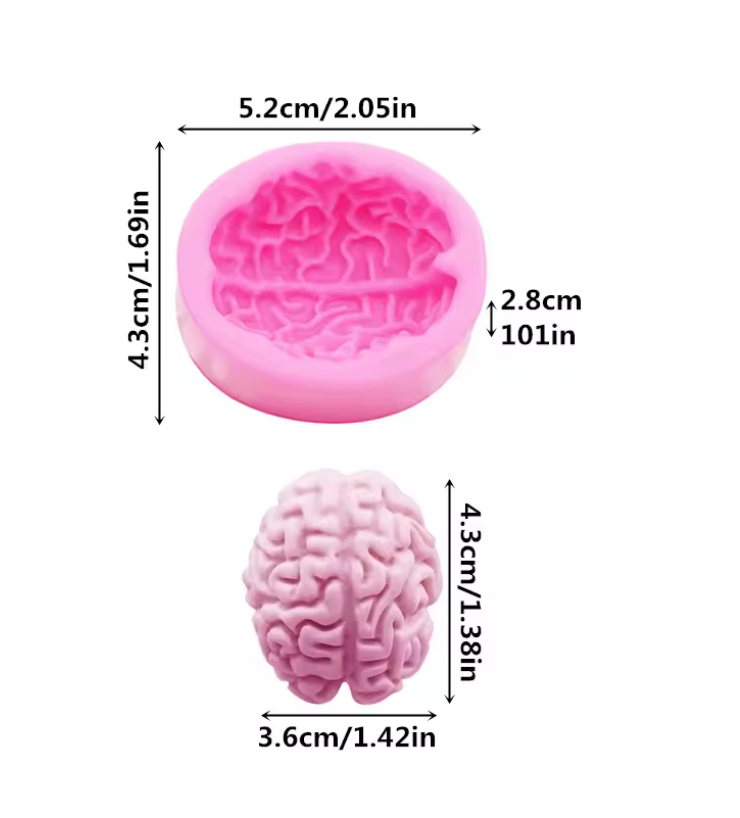 Silicone Mold Small Brain