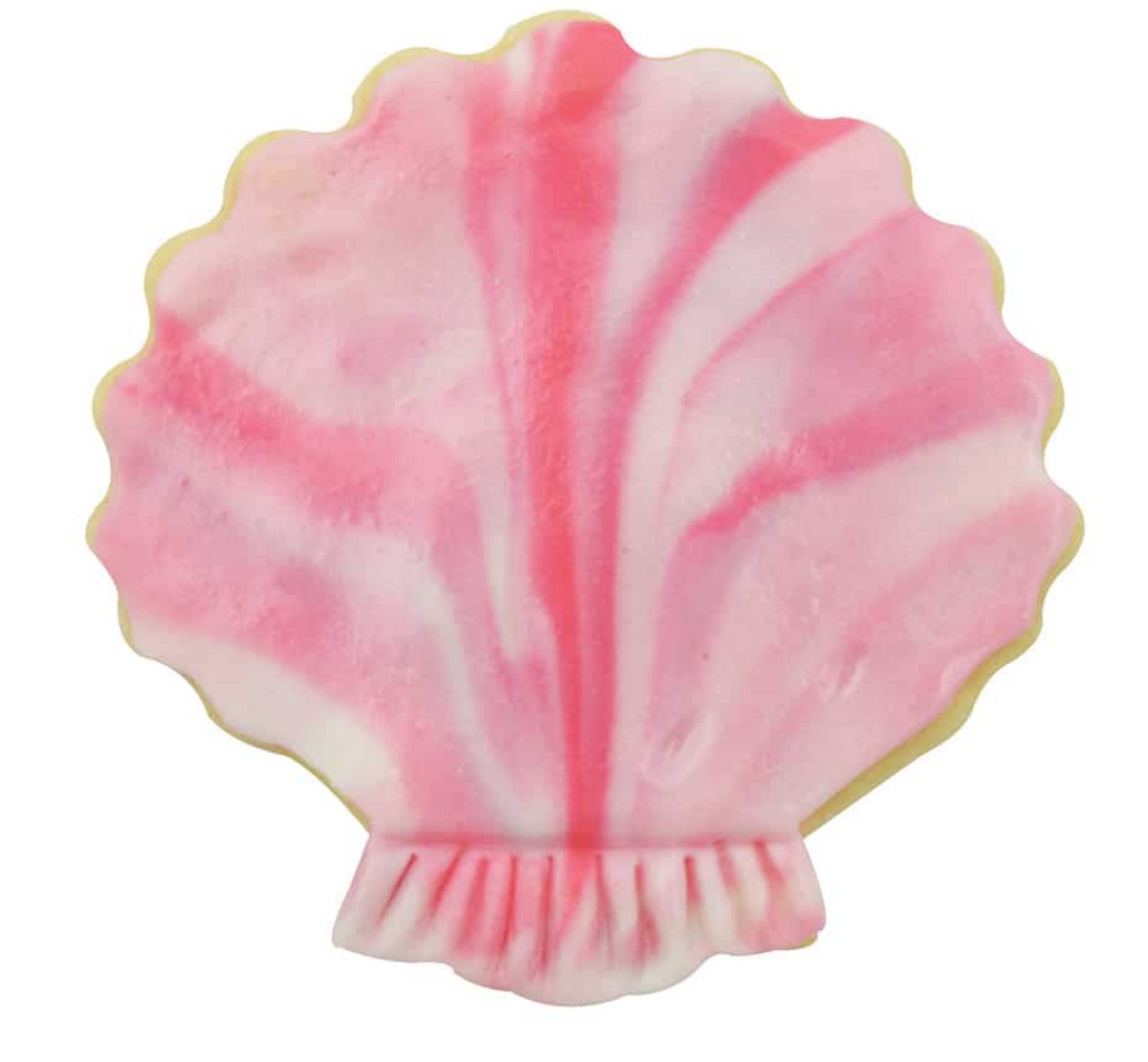 Cookie Cutter Sea Shell 3”