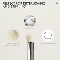Mini Detailed Luster Brush #12