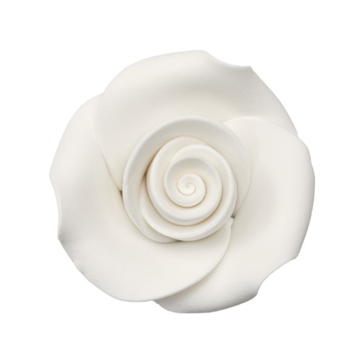 White Sugar Soft Rose 1.5”