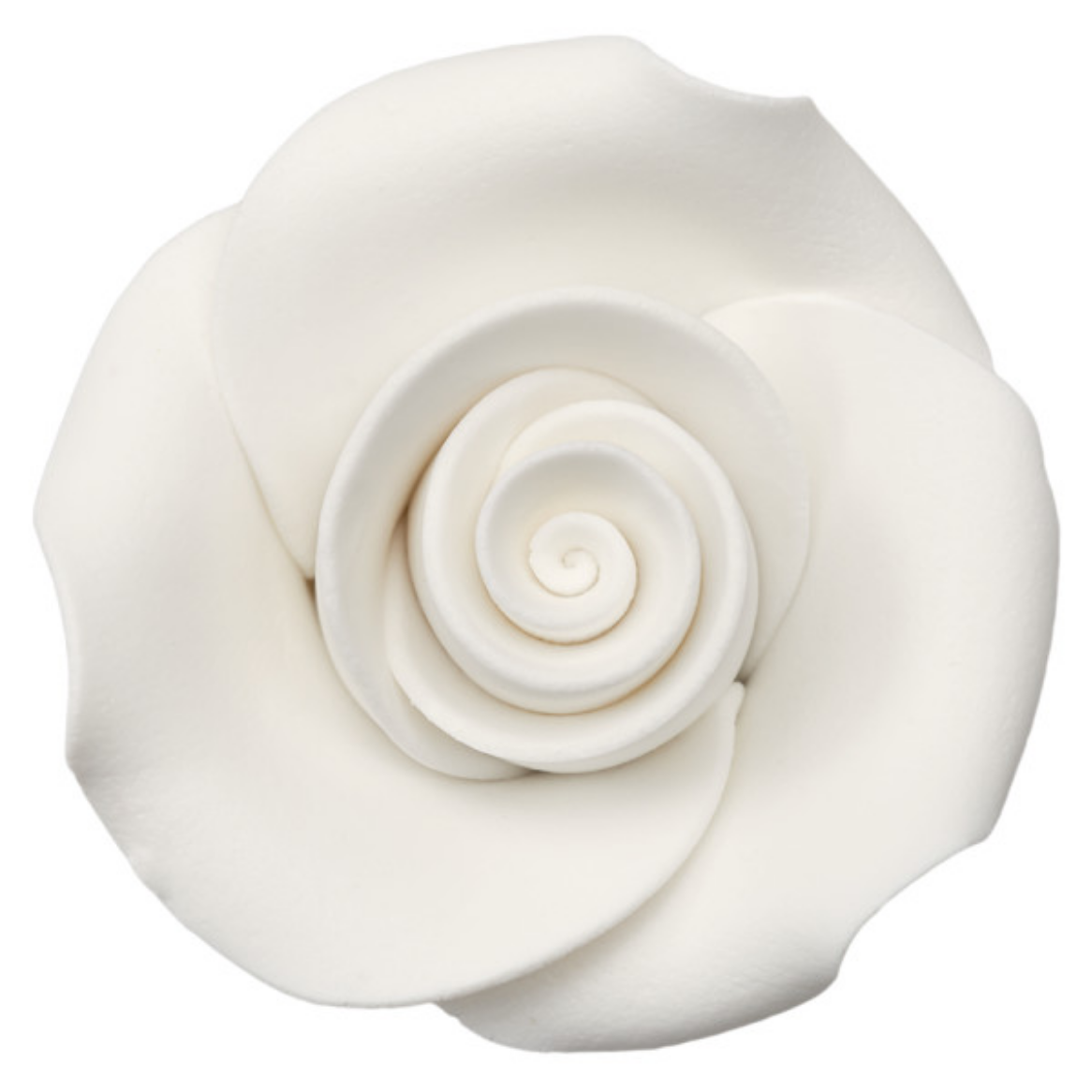 White Sugar Soft Rose 1"