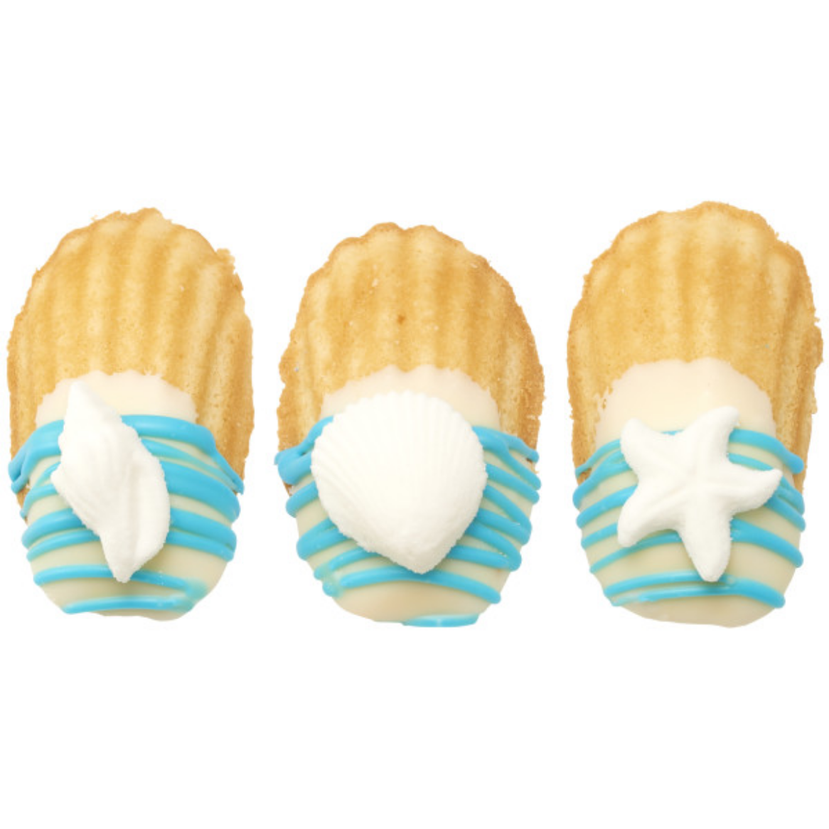 Dec On Sea Shells 4 PCS
