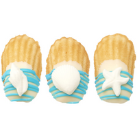 Dec On Sea Shells 4 PCS