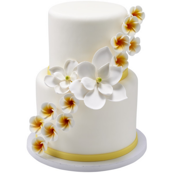 White Plumeria Gum Paste Flowers