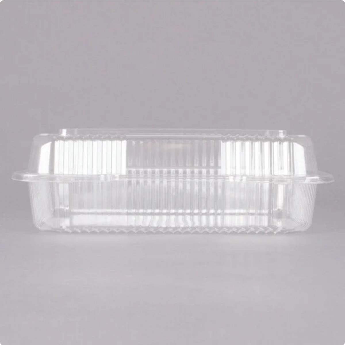 Clear Hinged PET Plastic 9" Medium Oblong Container