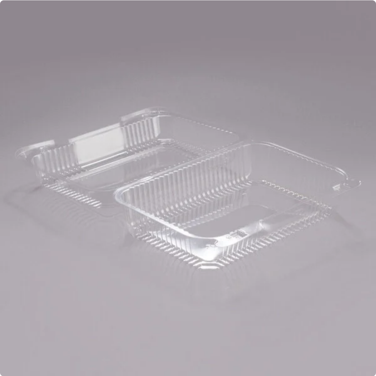 Clear Hinged PET Plastic 9" Medium Oblong Container
