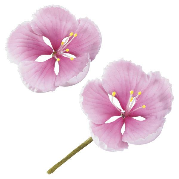 Cherry Blossom Flower 1pcs* - Sweet Life Cake Supply