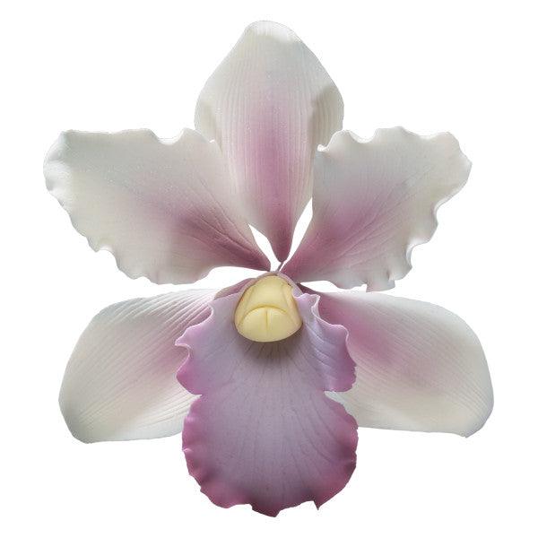 Tropical Orchid Gum Paste Flowers* - Sweet Life Cake Supply