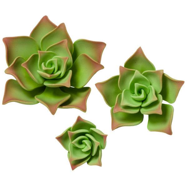 Green Succulents Gum Paste Flowers Large* - Sweet Life Cake Supply