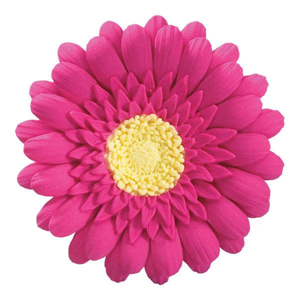 Hot Pink Gerbera Daisy*