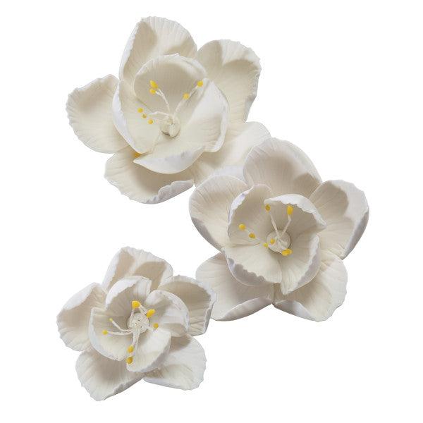 Gum Paste Flowers Blossom Assortment* - Sweet Life Cake Supply