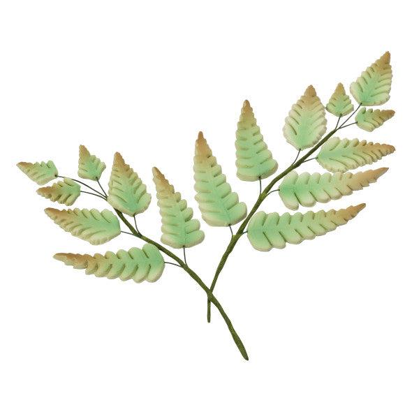 Gum Paste Flowers Airy Ferns* - Sweet Life Cake Supply