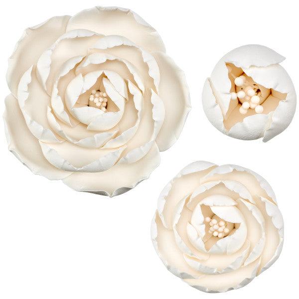 Gum Paste Flowers Peony Assortment 3 Piece Set* - Sweet Life Cake Supply