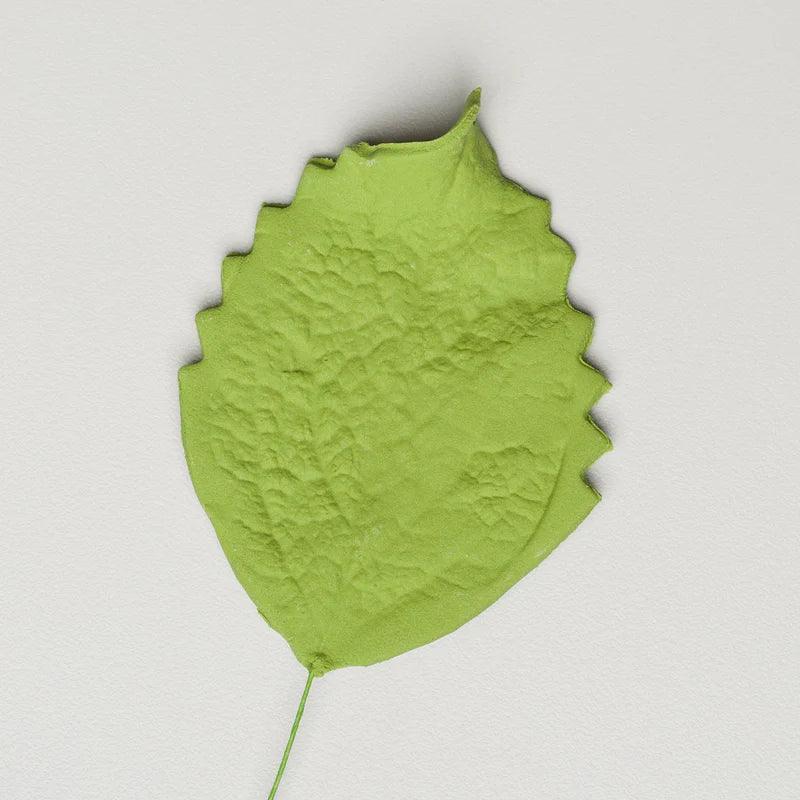 3.5" Hibiscus Leaves - XL - Green w/ Wire* - Sweet Life Cake Supply