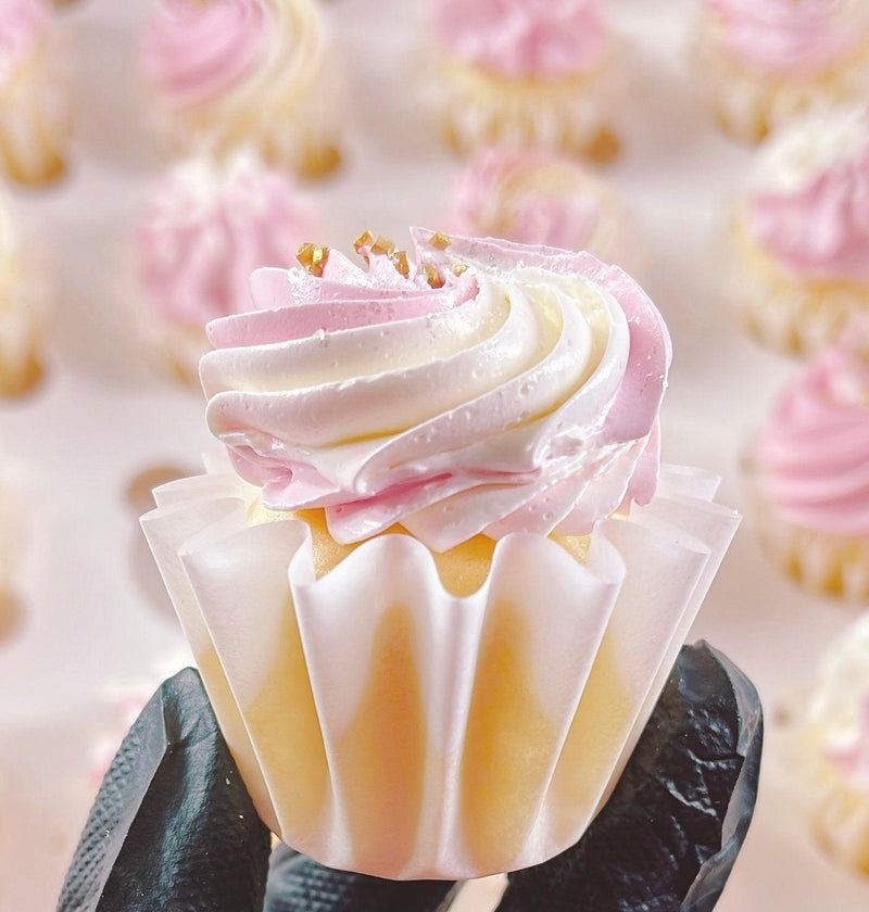 More Mini Cuppies 96 Pack - Sweet Life Cake Supply