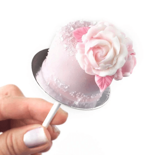 Cake Pop Cake Mold