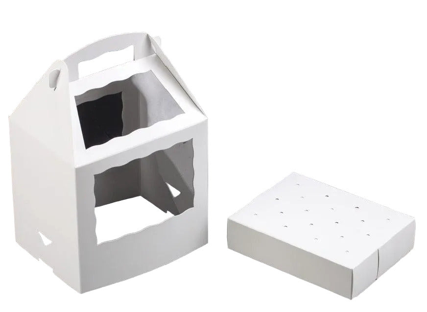 Cake Pop Box- LOLLIPOP STICKS - Sweet Life Cake Supply