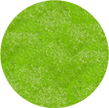 Granny Smith Luster Dust - Sweet Life Cake Supply