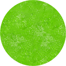 Leaf Green Luster Dust - Sweet Life Cake Supply